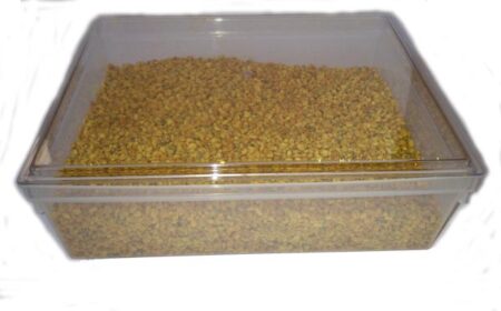 Vue de près d'une barquette transparente de pollen frais Miel et Délices, révélant ses pelotes multicolores (jaune, orange, marron). Ce pollen, immédiatement congelé, est idéal pour une cure quotidienne et préserve tous ses nutriments vivants.
