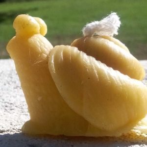 Miel et Délices : vente de bougie escargot en cire d'abeille
